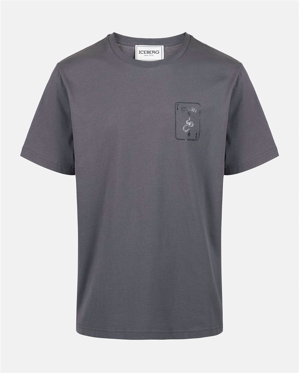 Short-sleeved T-shirt with prints and embroidery (Grey) 