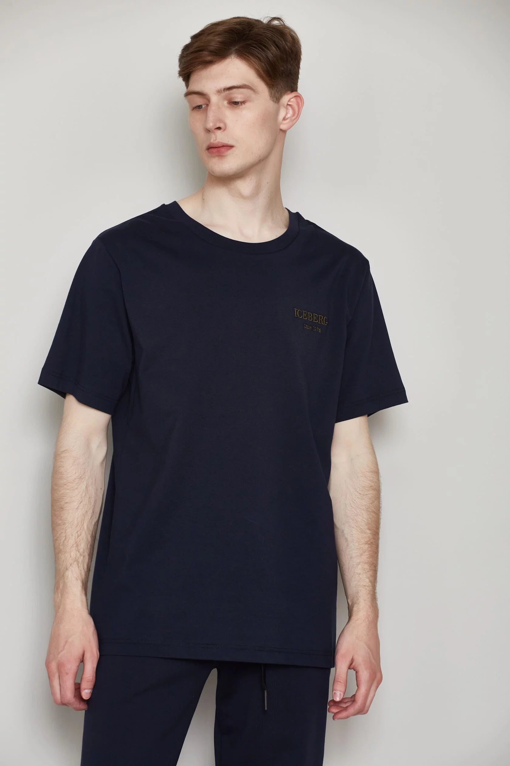 Iceberg Logo 5D T-Shirt (Navy)