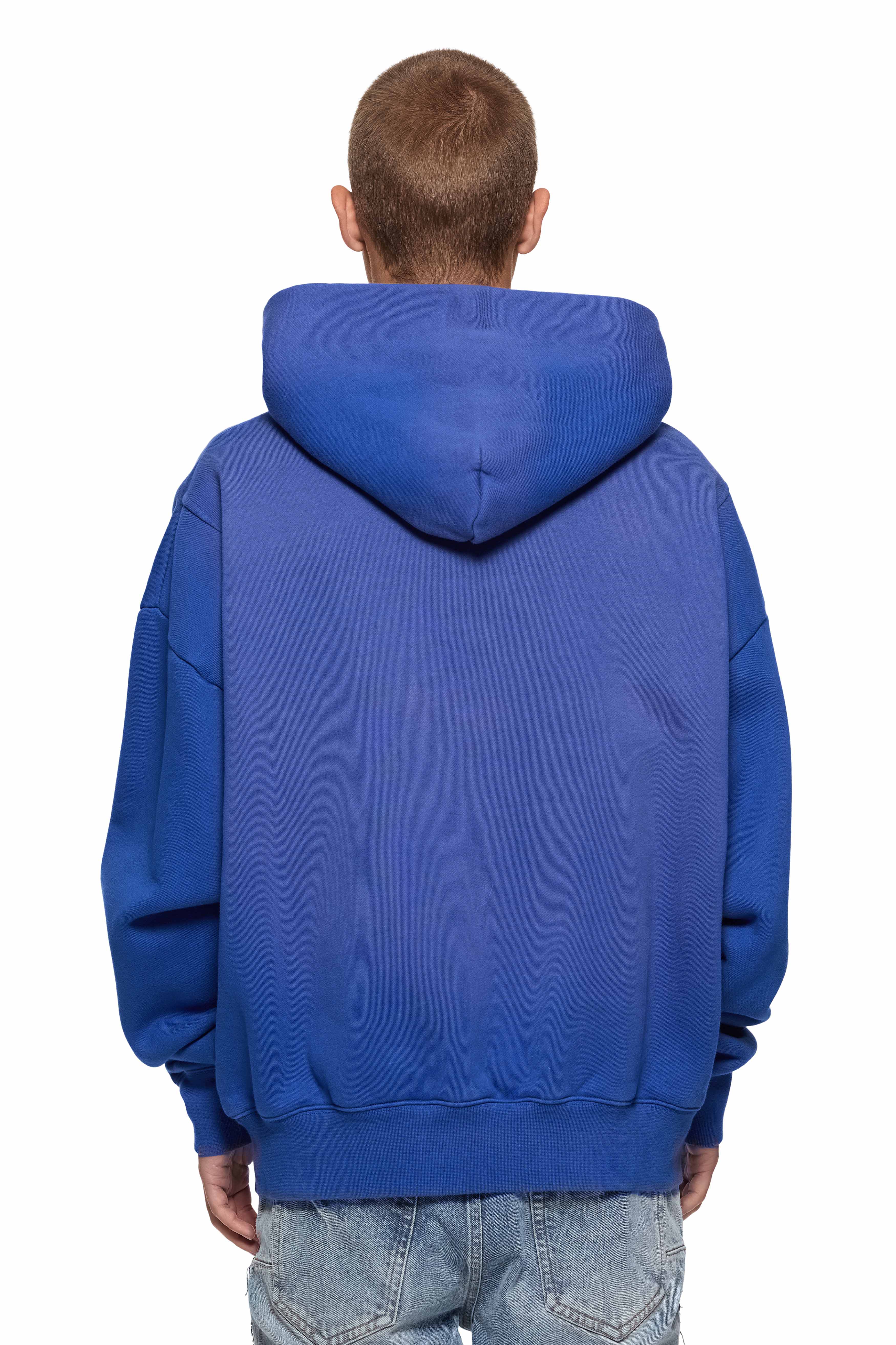 Hwt Fleece PO Hoody (Blue) - P401HMGW424