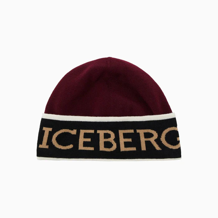 Dual Color Print Logo Beanie (Maroon) 